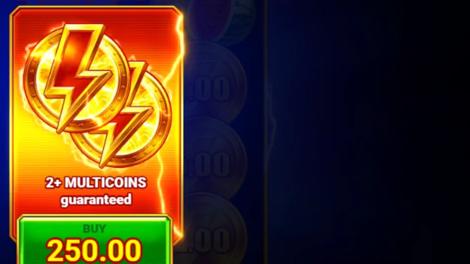 MULTICOIN Bonus Game purchase confirmation screen for 250x total bet