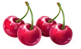 Cherry symbol in Coin Strike XXL Multicoin