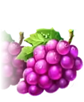 Grape symbol in Coin Strike XXL Multicoin